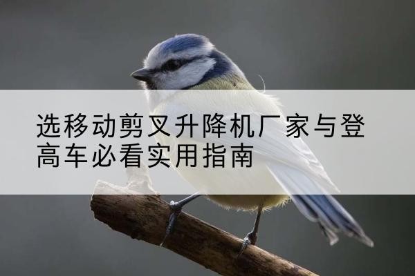 蛟河电动升降机厂家-选移动剪叉升降机厂家与登高车必看实用指南