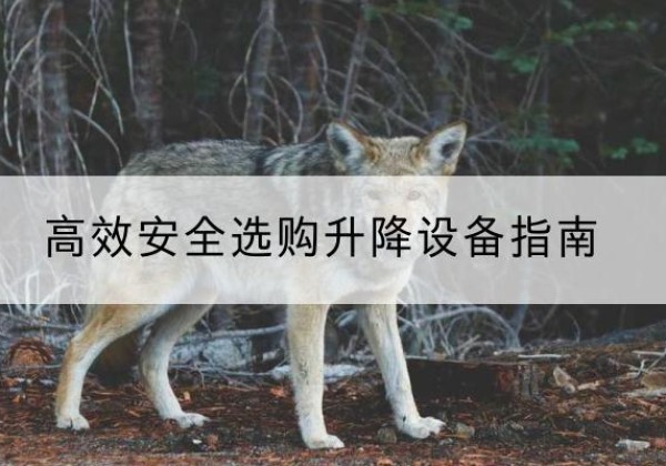 蛟河升降货梯厂家推荐-*安全选购升降设备指南
