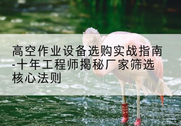 蛟河剪叉式升降机厂家-高空作业设备选购实战指南-十年工程师揭秘厂家筛选核心法则